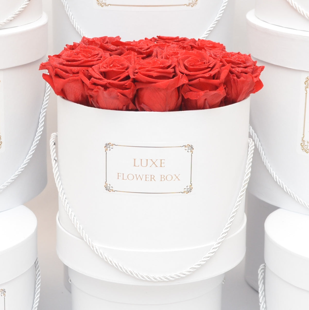 Large Round Box with Roses - Customize it! - Roses Last more than 1 year
