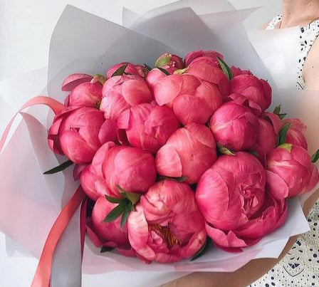 Bouquet of Coral Charm Peonies