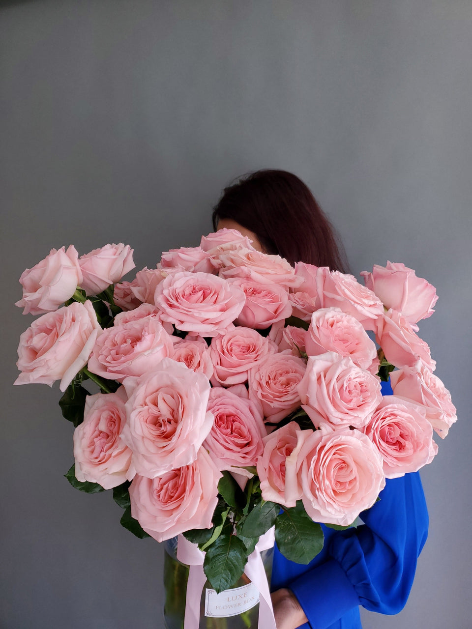 Pink O'hara Garden Rose