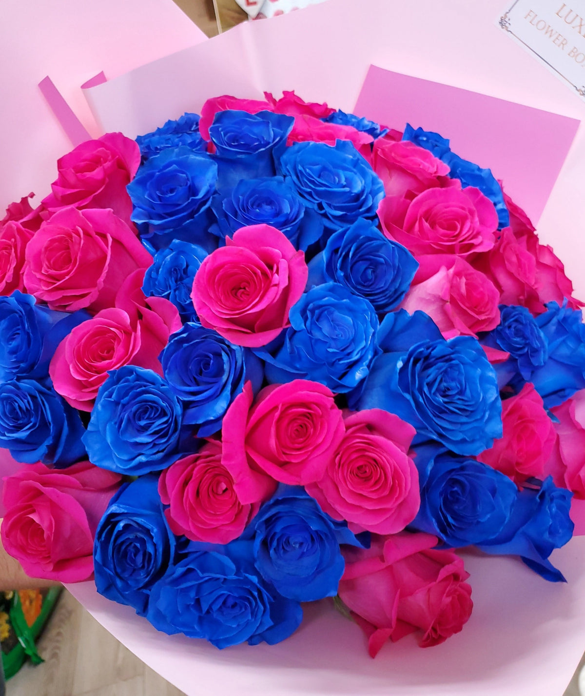 Valentine's Day 50 Blue and Pink Roses