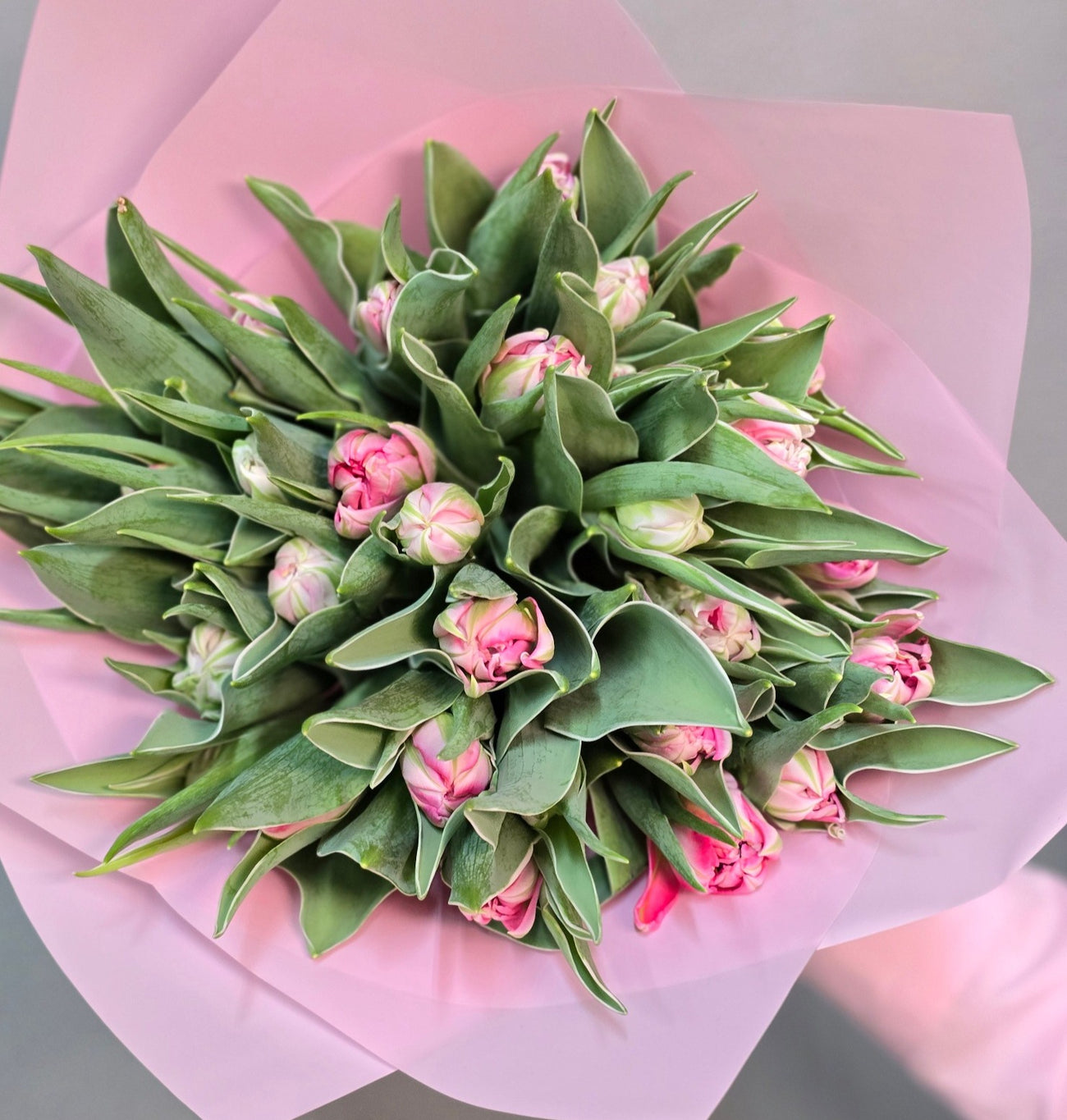 30 Light Pink Peony Tulips Bouquet