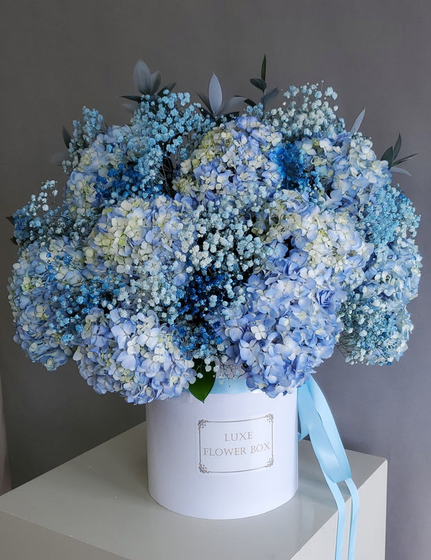 A dreamy flower box featuring fluffy hydrangeas and delicate baby's breath, arranged to create a soft, cloud-like display, perfect for evoking elegance and serenity.