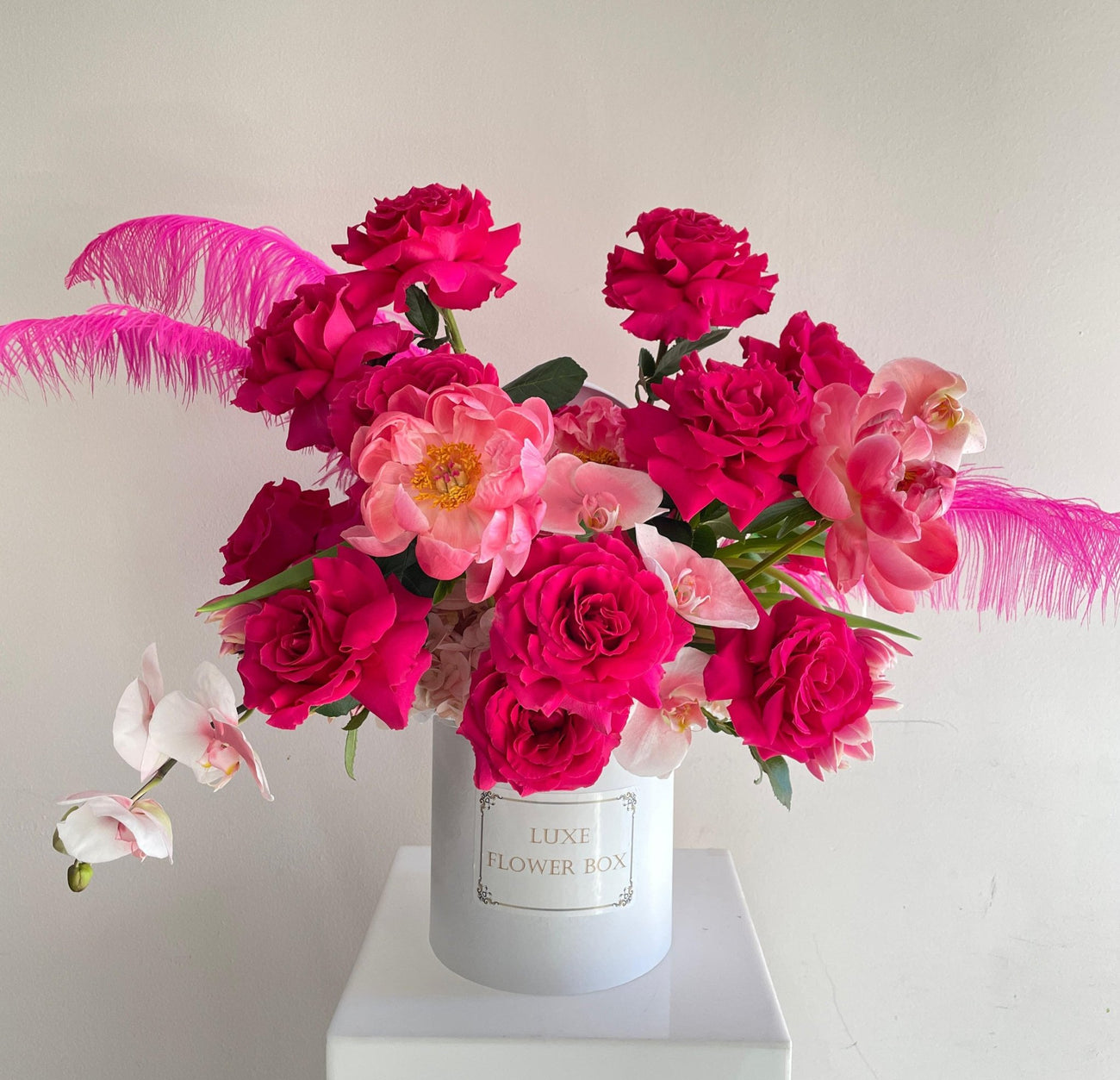 Flamingo Box Arrangment