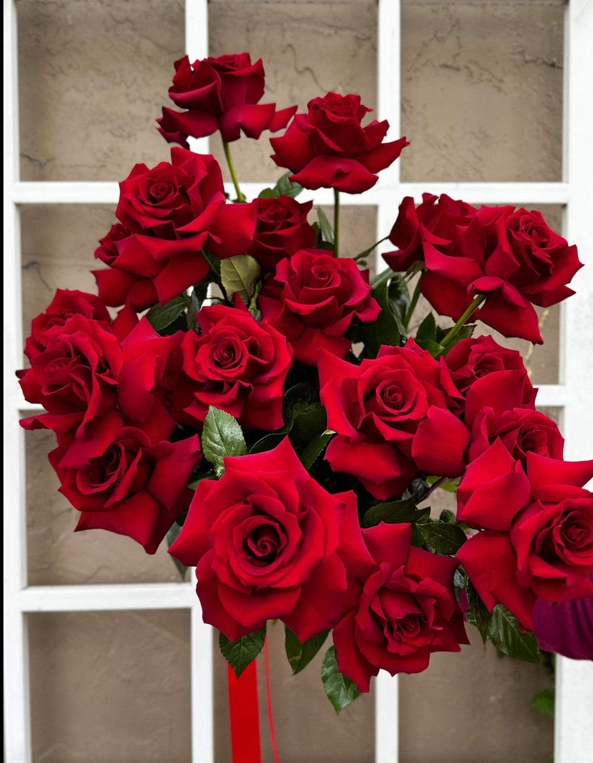 Valentine's Day Frenchy- Style Red Roses