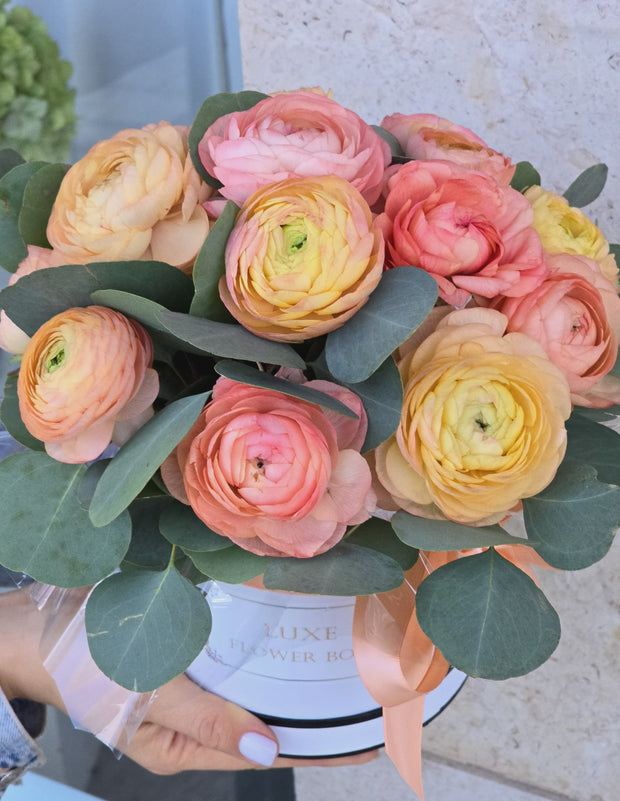 Round box arrangement featuring peach ranunculus and eucalyptus for a soft and elegant look