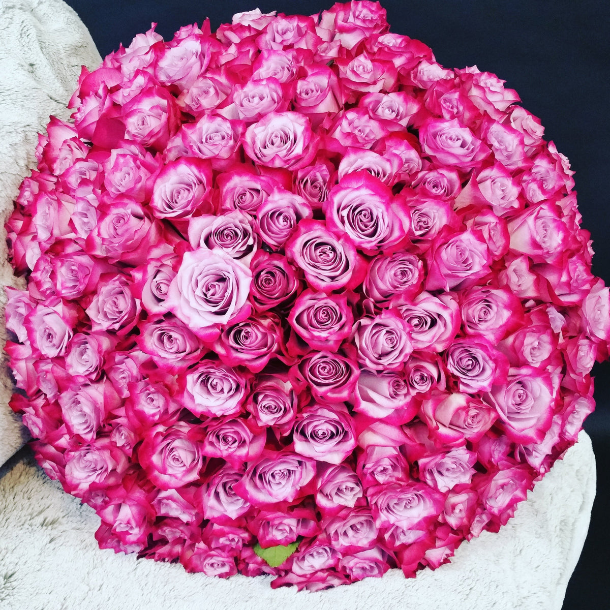 Elegant arrangement of lush purple roses, showcasing their rich color and timeless beauty for a unique and sophisticated floral display.