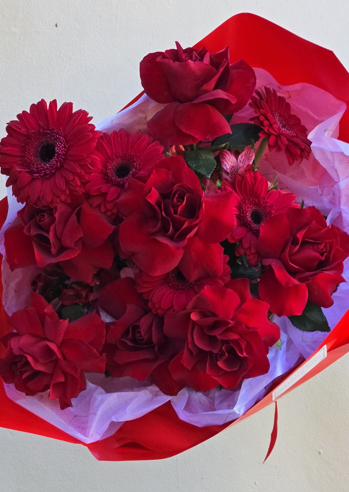 A bold and vibrant bouquet featuring lush red roses and striking red gerberas, creating a stunning arrangement that exudes passion and elegance, perfect for romantic gestures or special celebrations.