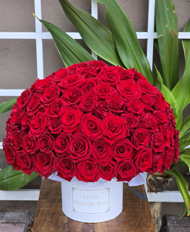 Elegant roses arranged in a luxurious box, beautifully presented for a timeless gift.