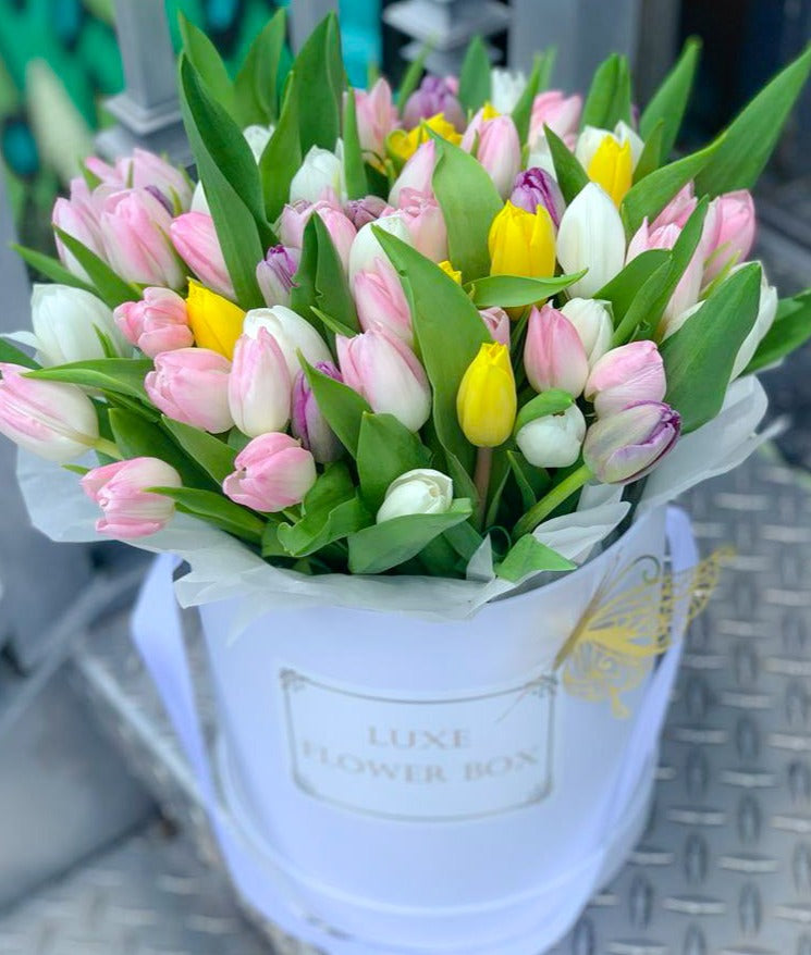 A round box filled with an elegant arrangement of white and pink tulips, showcasing their fresh, vibrant petals.