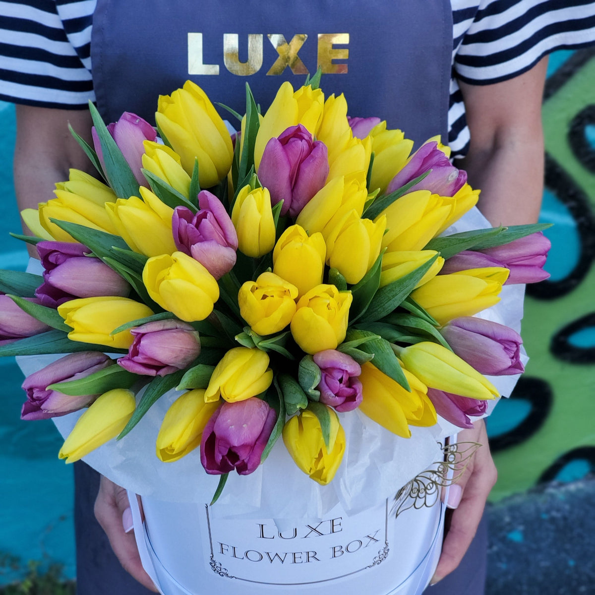 Mix of Yellow and Purple Tulips in Round box