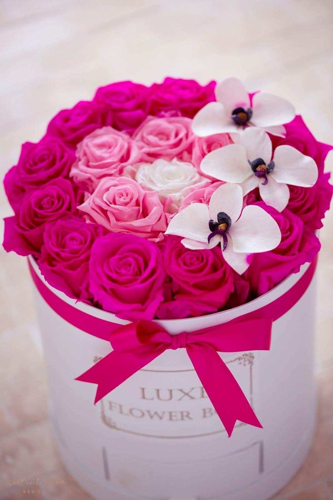 <transcy>Caja redonda grande con cajones-Trío de colores rosados ​​con orquídeas blancas-Duran más de 1 año</transcy>