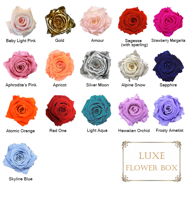 Large Round Box with Roses - Customize it! - Roses Last more than 1 year