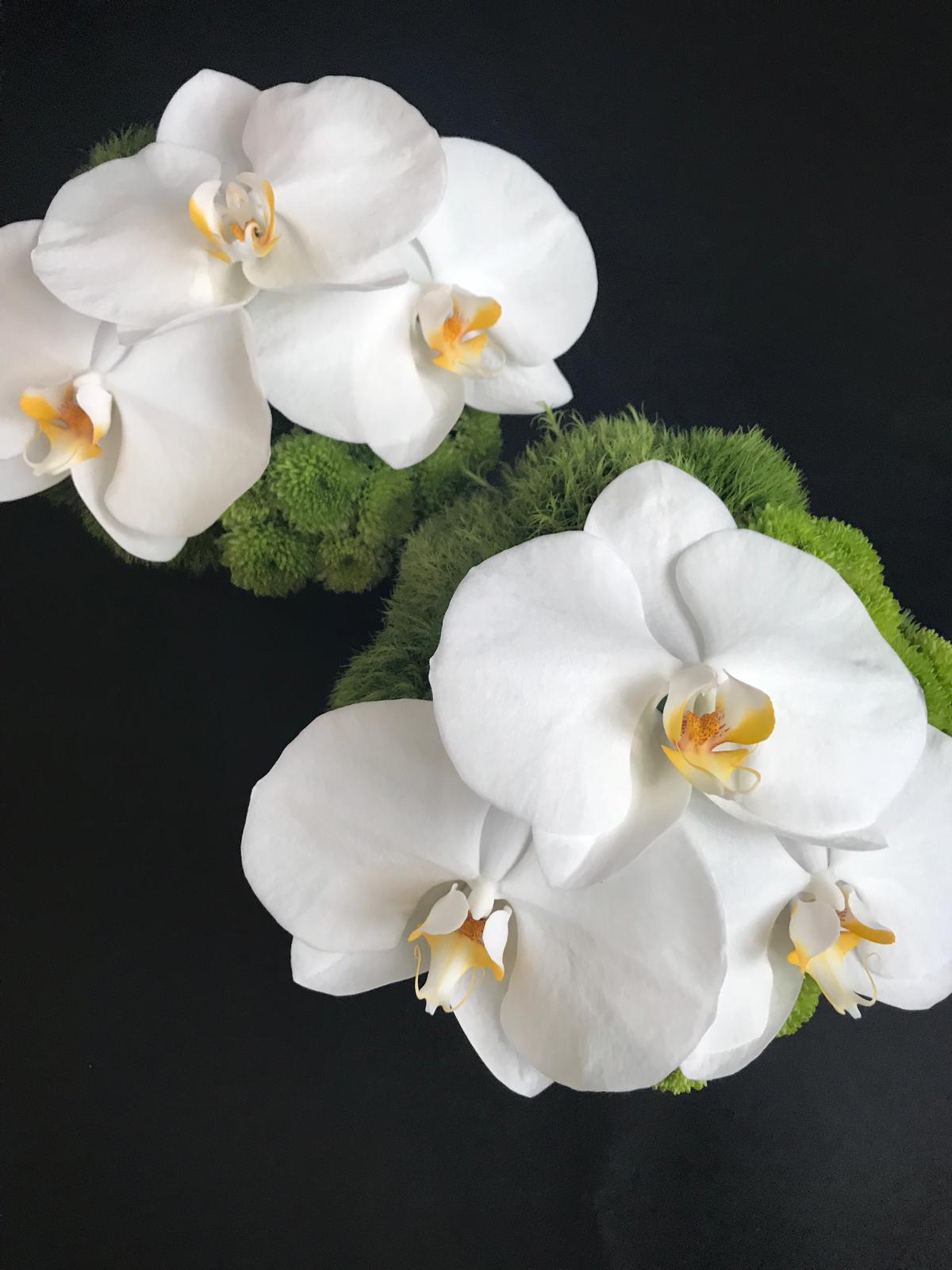 Table arrangement with phalaenopsis orchids