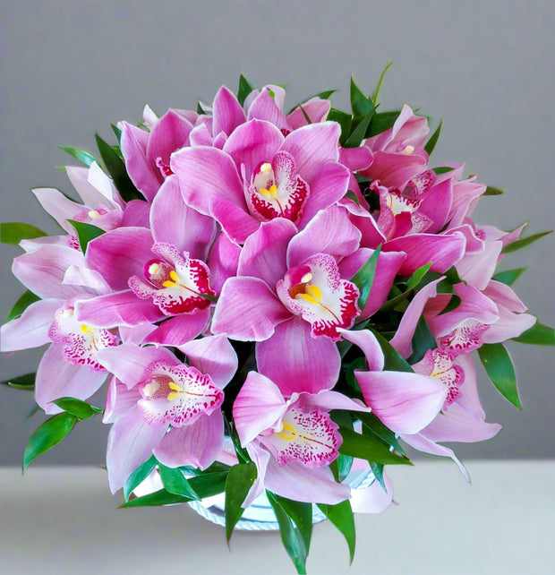 A luxurious flower box featuring elegant orchids arranged beautifully, showcasing their delicate petals and timeless sophistication, perfect for adding a touch of elegance to any occasion.