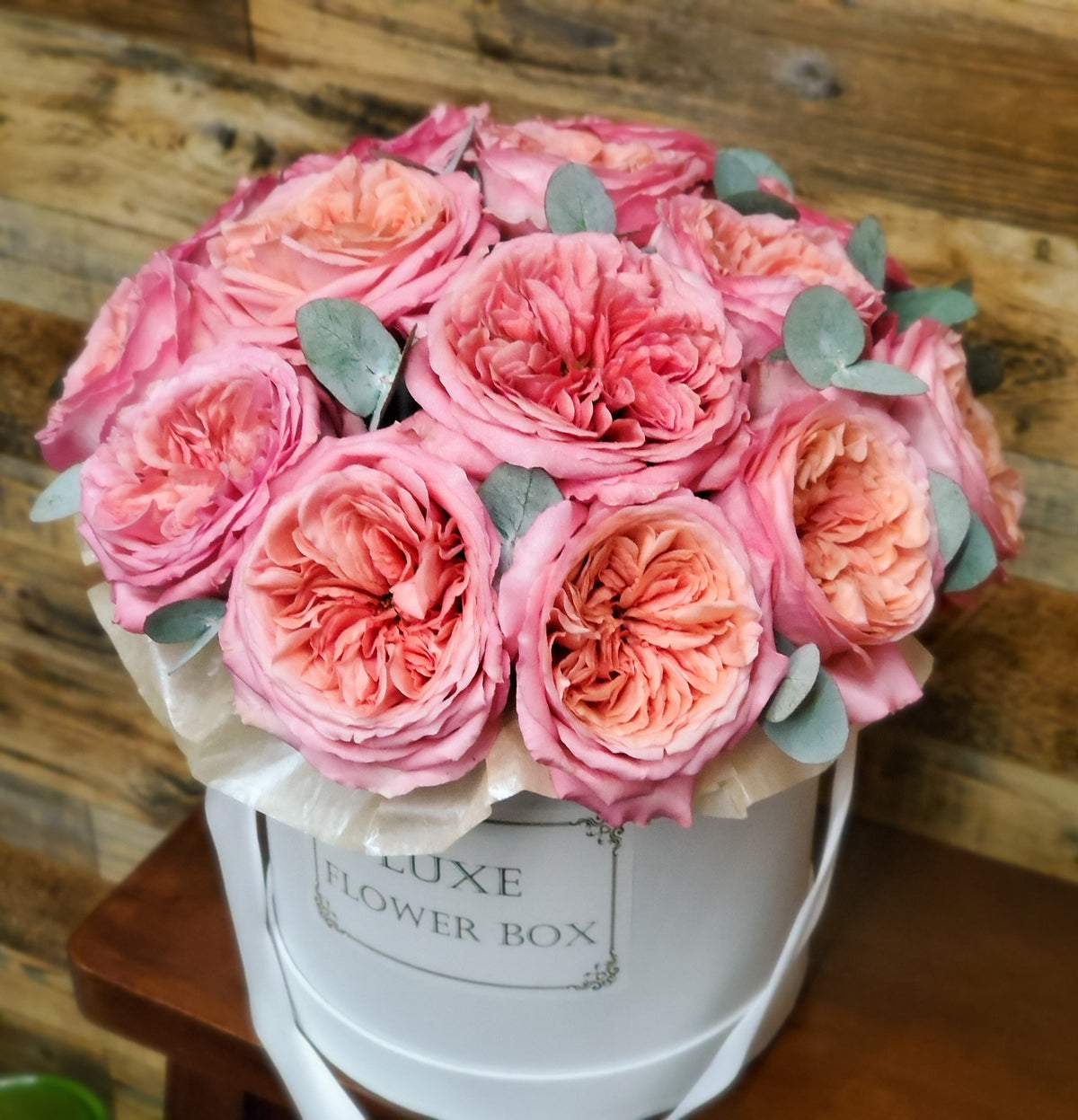 FRESH PINK EXPRESSION ROSES IN ROUND BOX