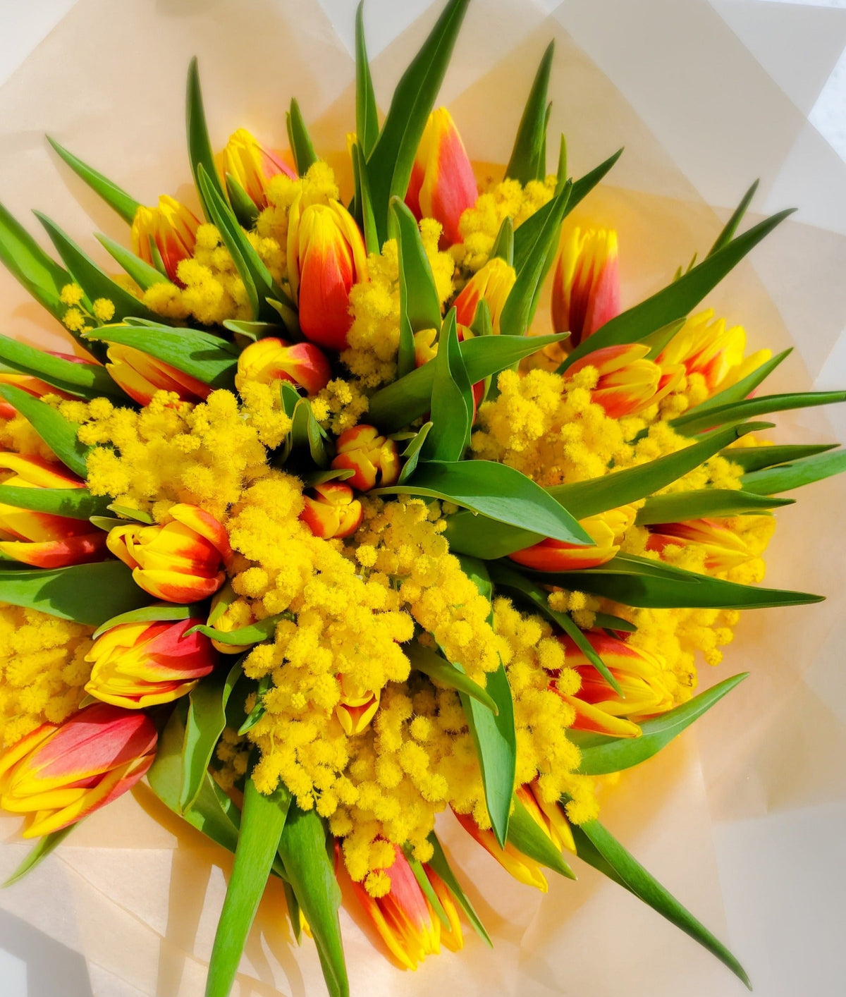 BOUQUET OF TULIPS WITH MIMOSA