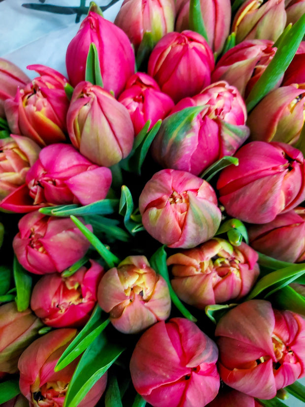 PINK DOUBLE TULIPS BOUQUET