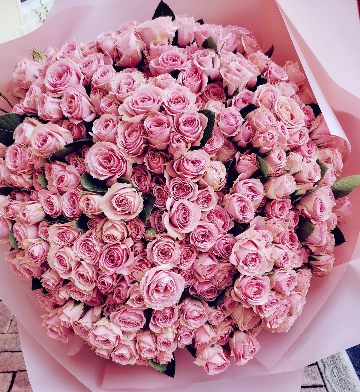 Delicate pink spray roses with small, clustered blooms, radiating softness and charm.