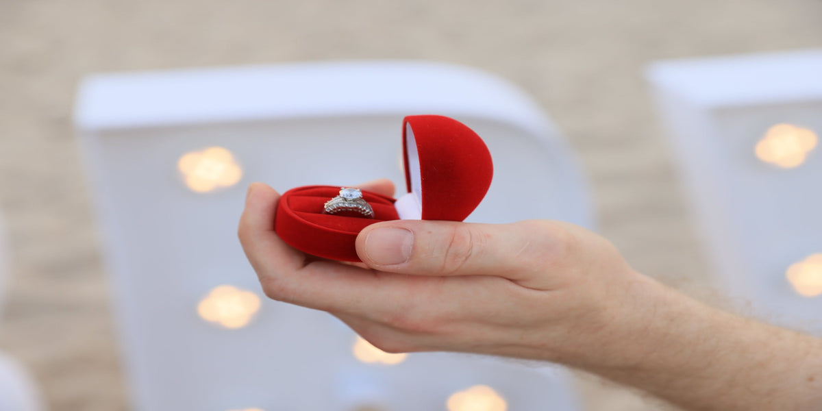 Marriage proposal premium package (reservation $100)